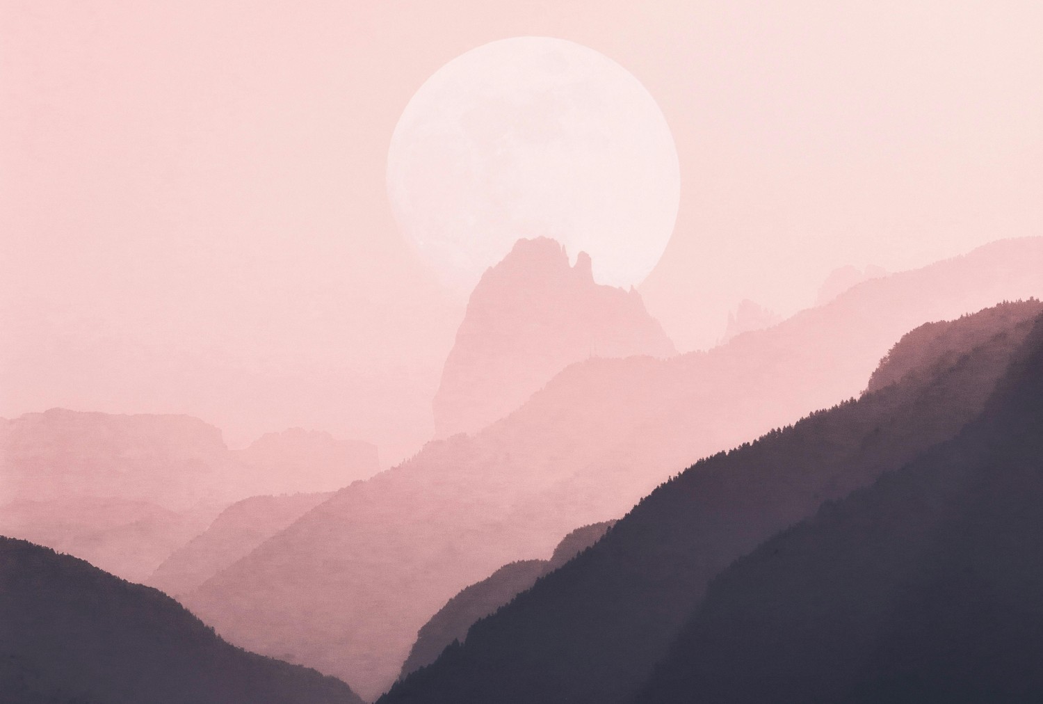 3 coisas a verdade da palavra de Deus mostrará a você