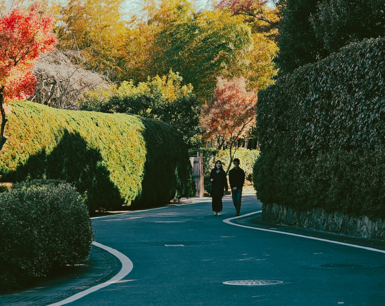 Sou discípulo de Jesus Cristo