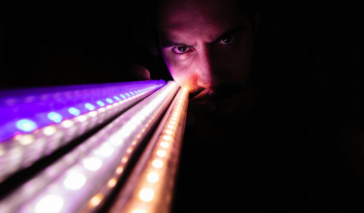 Apressaram-se em castigar o mal